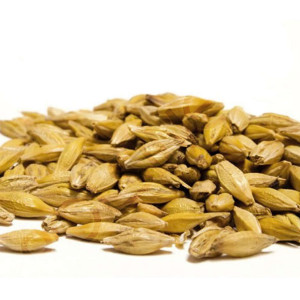 Castle Malting Malt Wheat Blanc (5 kg)