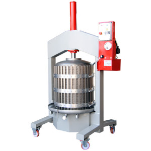 Polsinelli Presse Verticale Alfa 60 Inox avec Cage Amovible