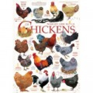 Cobble Hill Chicken Quotes