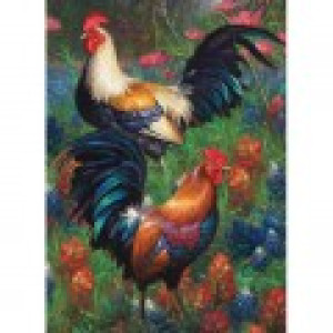 Cobble Hill Roosters