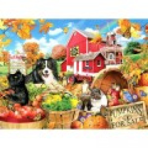 SunsOut Amis de la Ferme