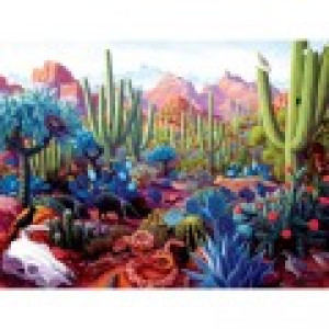 SunsOut Stephen Morath - Cactusland