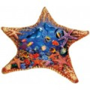 SunsOut Steve Sundram - Starfish