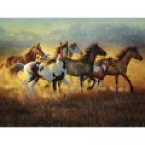SunsOut Cynthia Fisher - Running with the Wind