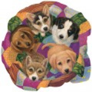 SunsOut Panier de Chiots