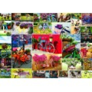 Grafika Collage - Vélos