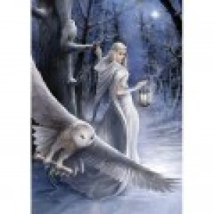 ART Puzzle Anne Stokes - Midnight Messenger