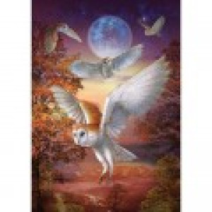 ART Puzzle Hiboux au Clair de Lune