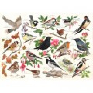 HOP - House of Puzzles Oiseaux Dans Mon Jardin