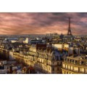 Bluebird Puzzle Paris, France