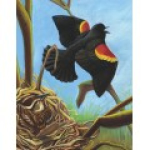 New York Puzzle Company Red-winged Blackbird