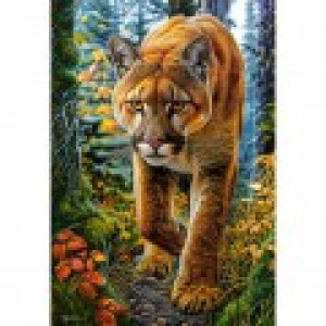 Castorland Lion des Montagnes dans la Forêt