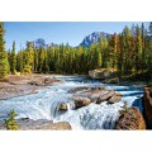 Castorland Canada, Parc National de Jasper : Rivière Athabasca