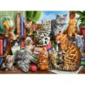 Castorland Maison des Chats