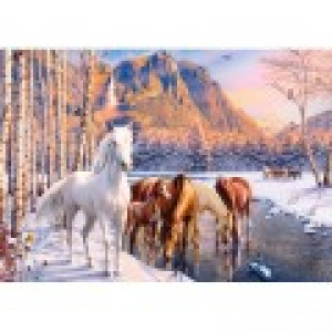 Castorland Fonte d'Hiver