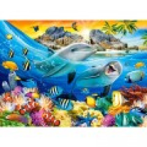 Castorland Dauphins dans les Tropiques