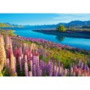 Castorland Lac Tekapo, Nouvelle-Zélande