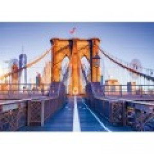 Alipson Puzzle Brooklyn, New York