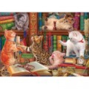 Eurographics Chatons de Bibliothéque