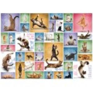 Eurographics Yoga Cats
