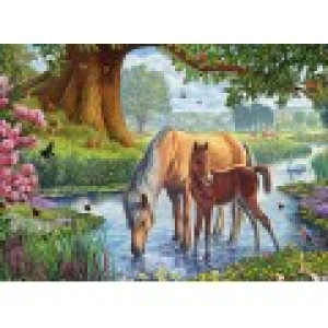 Eurographics Steve Crisp - The Fell Ponies