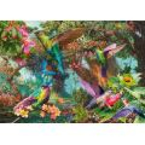Schmidt Spiele Jeu de Couleurs du Colibri