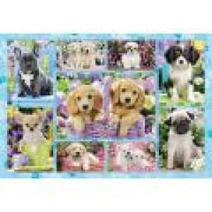 Schmidt Spiele Chiots