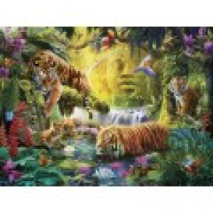 Ravensburger Tigres au Plan d'Eau