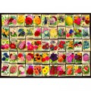 DToys Vintage Collage - Fleurs