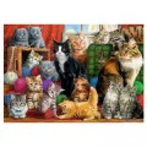Trefl Cats Meeting
