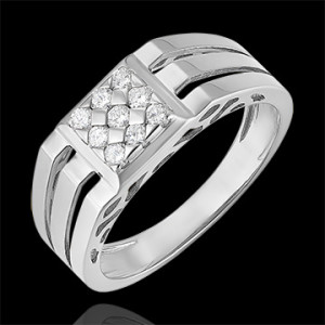 Edenly Ring DÃ¤mmerschein - Siegelring mit PavÃ© und Ausschnitten - 9 Karat Wei