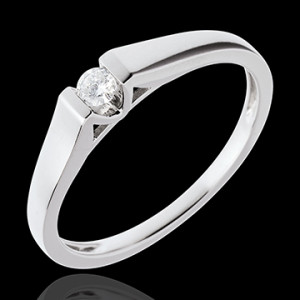 Edenly Ring Zeitgenosse in Weissgold