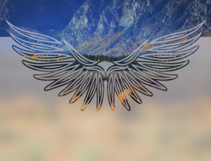 Skrzydła - folia na okno o efekcie mrożonego szkła