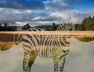 Zebra - folia na okno o efekcie mrożonego szkła
