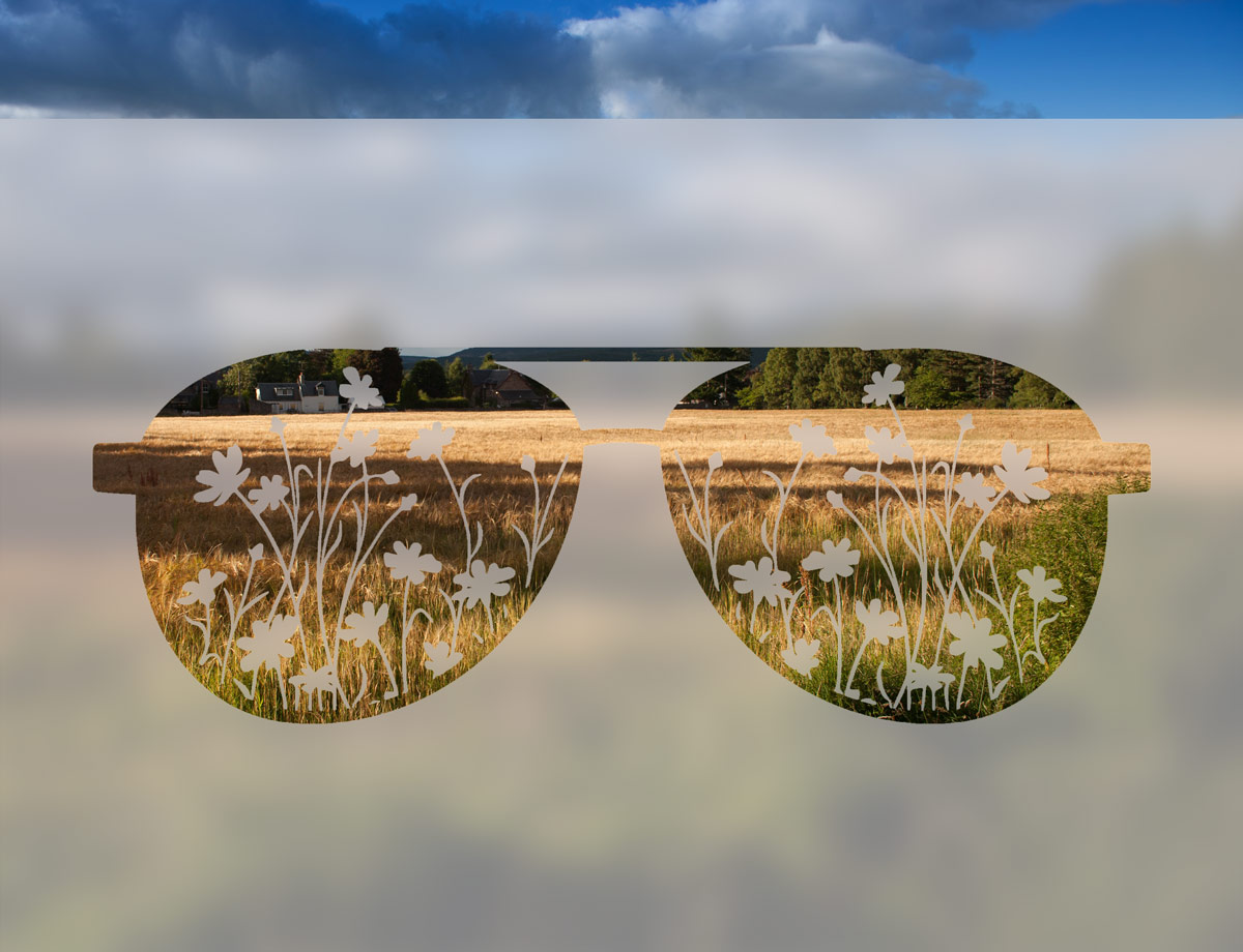 Okulary z Kwiecistą Łąką - folia na okno o efekcie mrożonego szkła