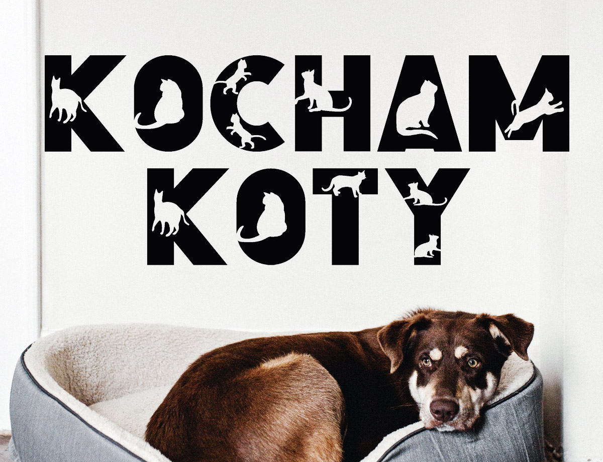 Kocham Koty - Naklejka na ścianę