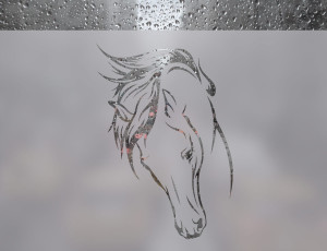 Głowa Klaczy - folia na okno o efekcie mrożonego szkła