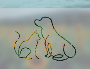 Jak Kot z Psem - folia na okno o efekcie mrożonego szkła