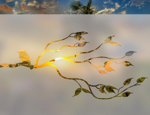 Ptak na Gałęzi - folia na okno o efekcie mrożonego szkła