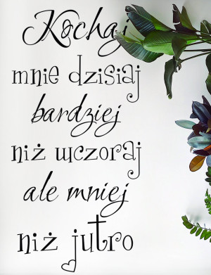 Kochaj mnie dzisiaj bardziej niż wczoraj ale mniej niż jutro - Naklejka na ścianę