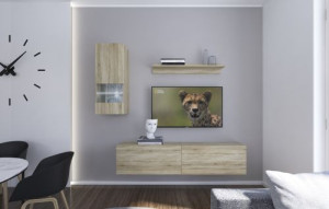 Anbauwand Wohnwand Wohnwände Schrankwand Modernes Wohnzimmer NEU Cezalia N272 1B