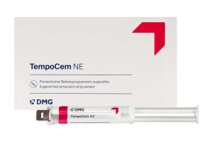 TempoCem NE Smartmix 11 g x 2 szt. DMG