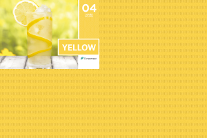Serwety stomatologiczne składane 100 szt. Hygomed (04 YELLOW (żółte))