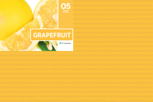 Serwety stomatologiczne składane 100 szt. Hygomed (05 GRAPEFRUIT (ciemnożółte))