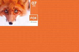 Serwety stomatologiczne składane 100 szt. Hygomed (07 FOX (pomarańczowe))