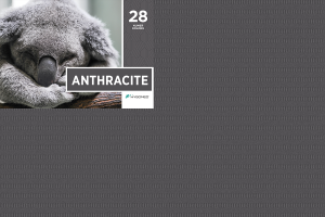 Serwety stomatologiczne składane 100 szt. Hygomed (28 ANTHRACITE (ciemnoszare))
