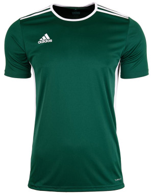 Koszulka dla dzieci adidas Entrada 18 Jersey JUNIOR CE9563