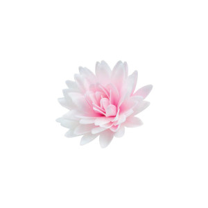 Kwiat na tort Aster Peoniowy 3D XXL 12,5cm cieniowany Różowy