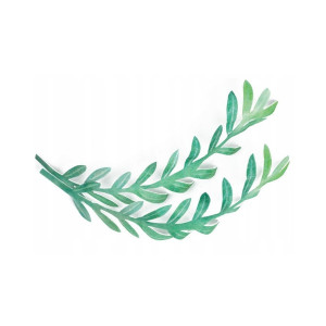 Gałązka oliwna waflowa 4szt Komunia Święta