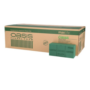 35szt OASIS classic - gąbki mokre do cienkich łody